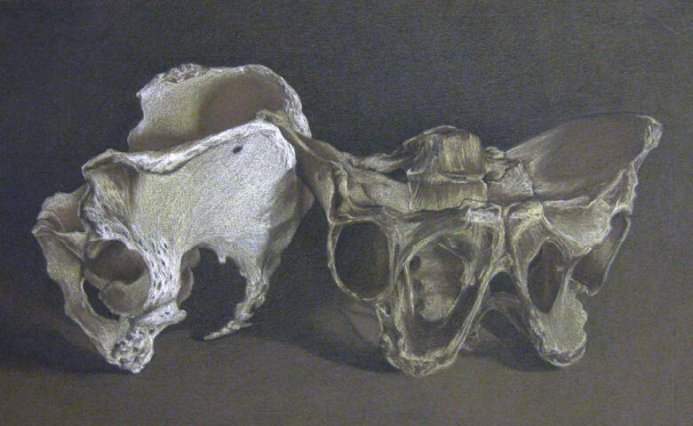 Ana Krish&#39;s Sample Pencil Drawing